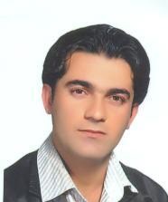 رضا شیخی
